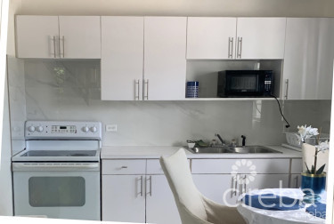 Two  One Bed Investment, South Sound