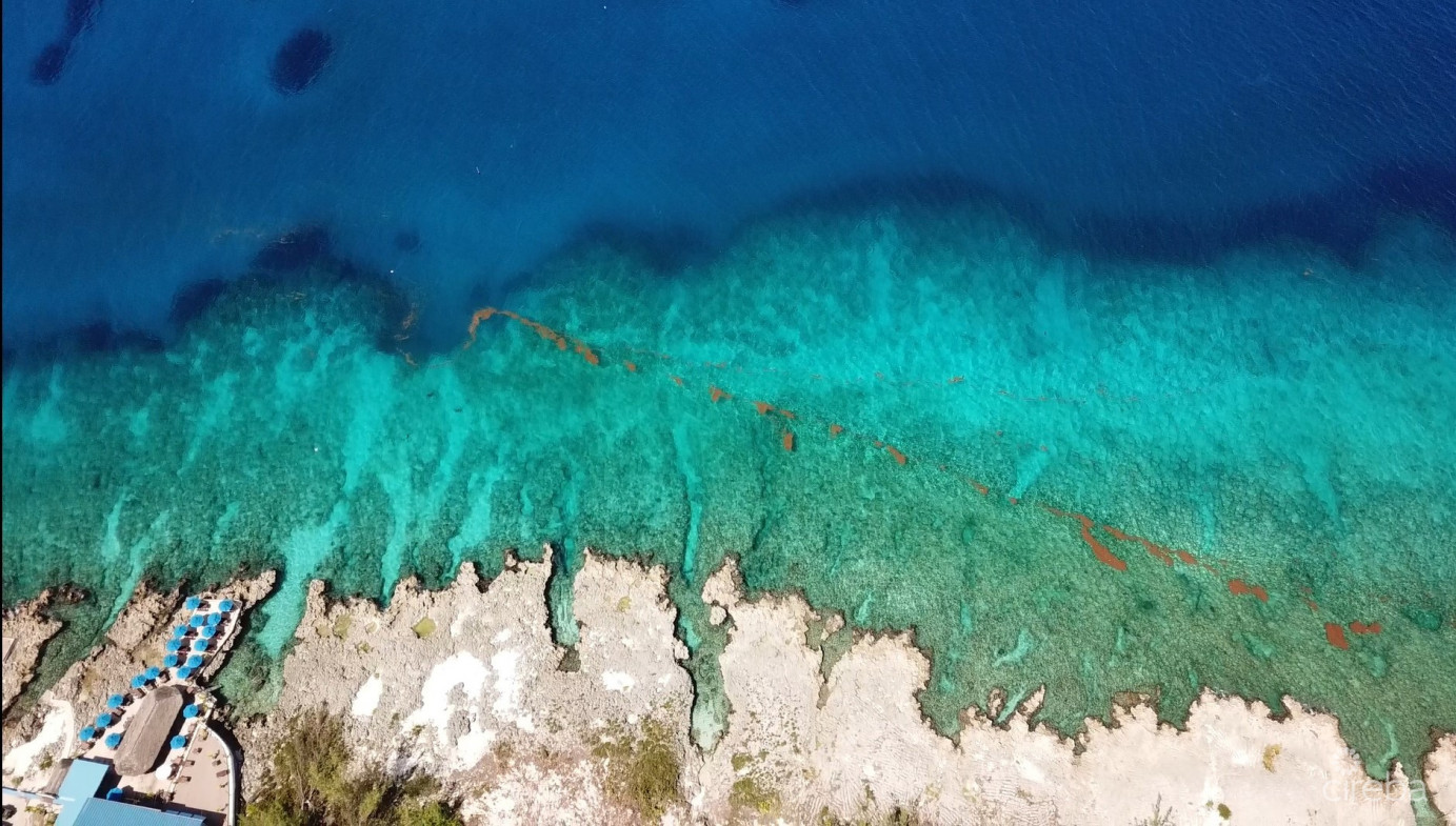 Sunset Point Oceanfront Condo