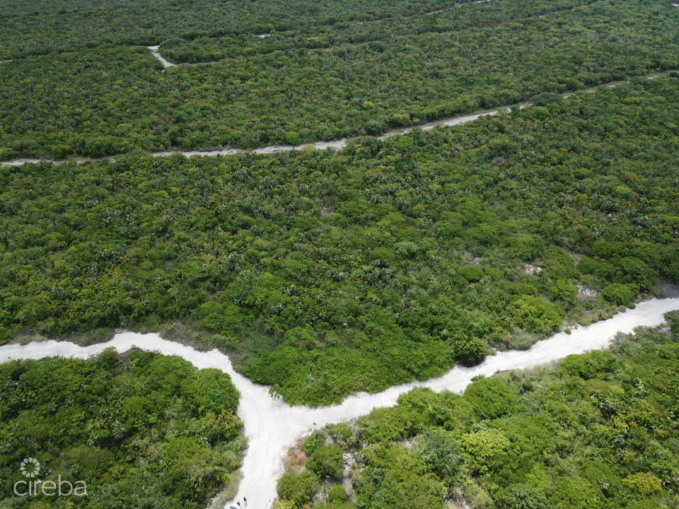 Little Cayman Lot Near Point Of Sands