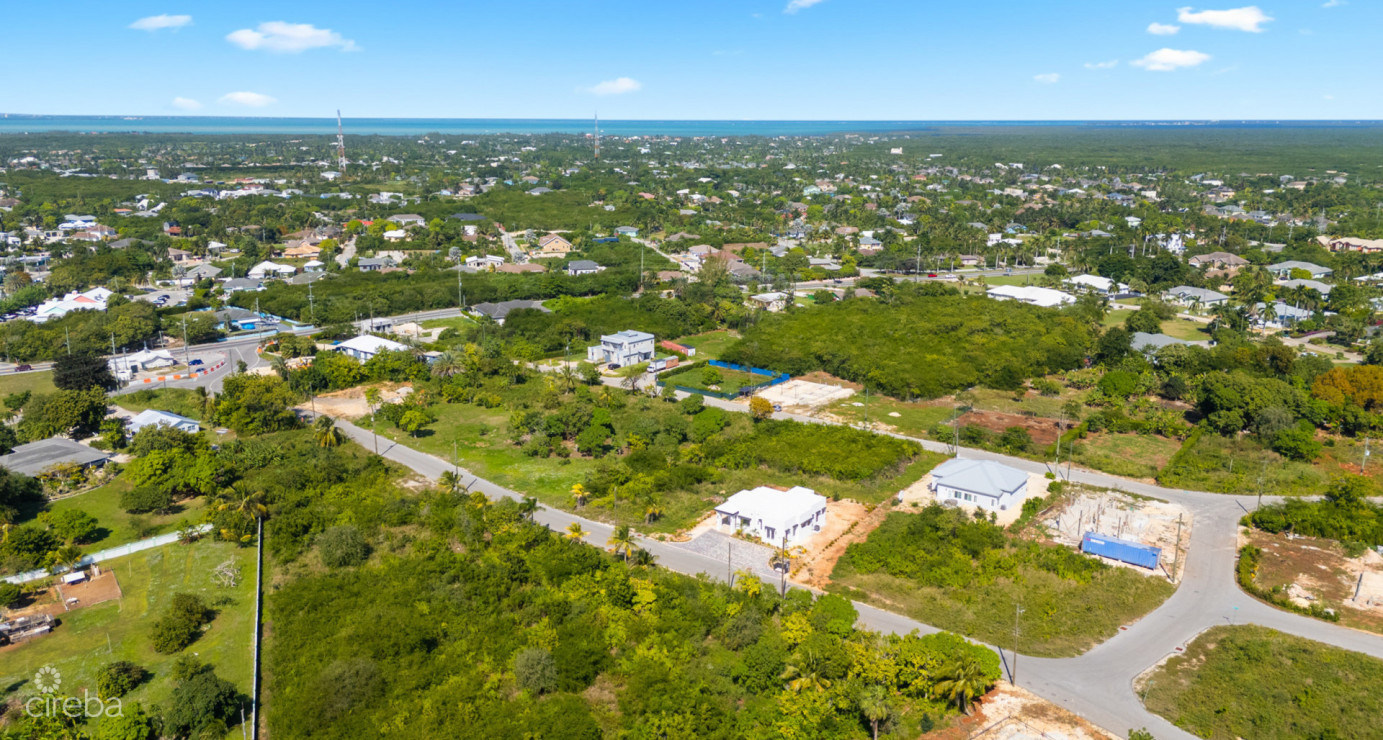 Viola Way House Lot - Ready To Build (0.2389 Acre, Savannah)