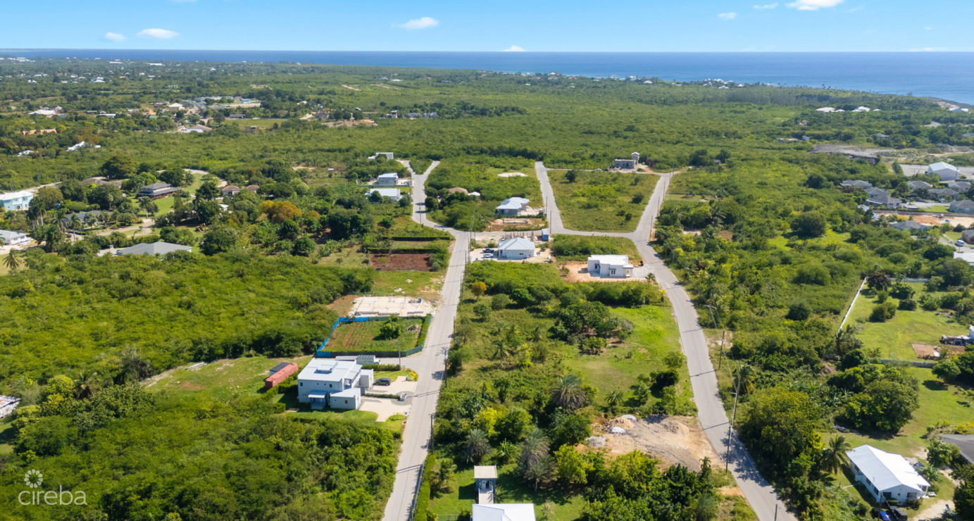 Viola Way House Lot - Ready To Build (0.2389 Acre, Savannah)