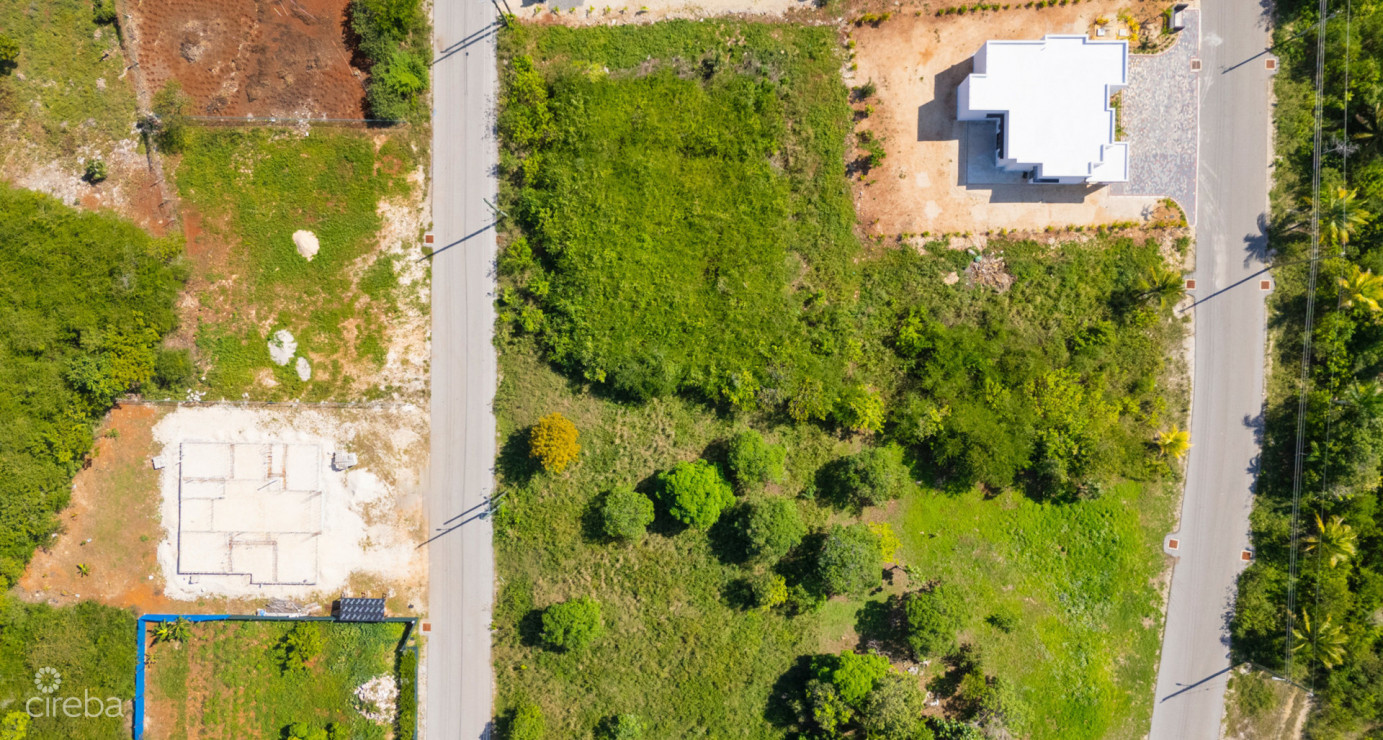 Viola Way House Lot - Ready To Build (0.2389 Acre, Savannah)