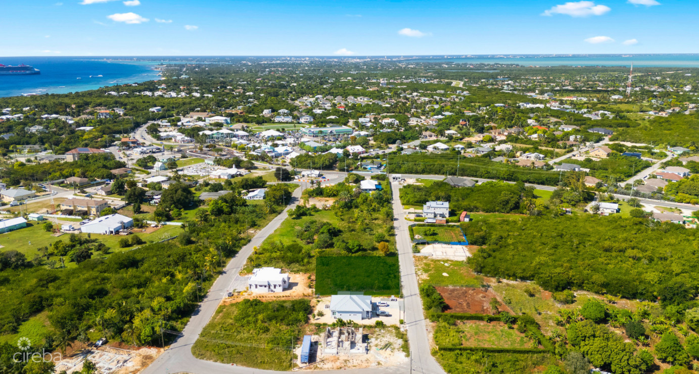 Viola Way House Lot - Ready To Build (0.2389 Acre, Savannah)
