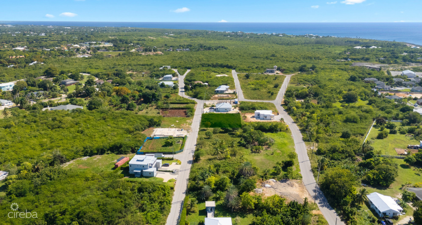 Viola Way House Lot - Ready To Build (0.2389 Acre, Savannah)