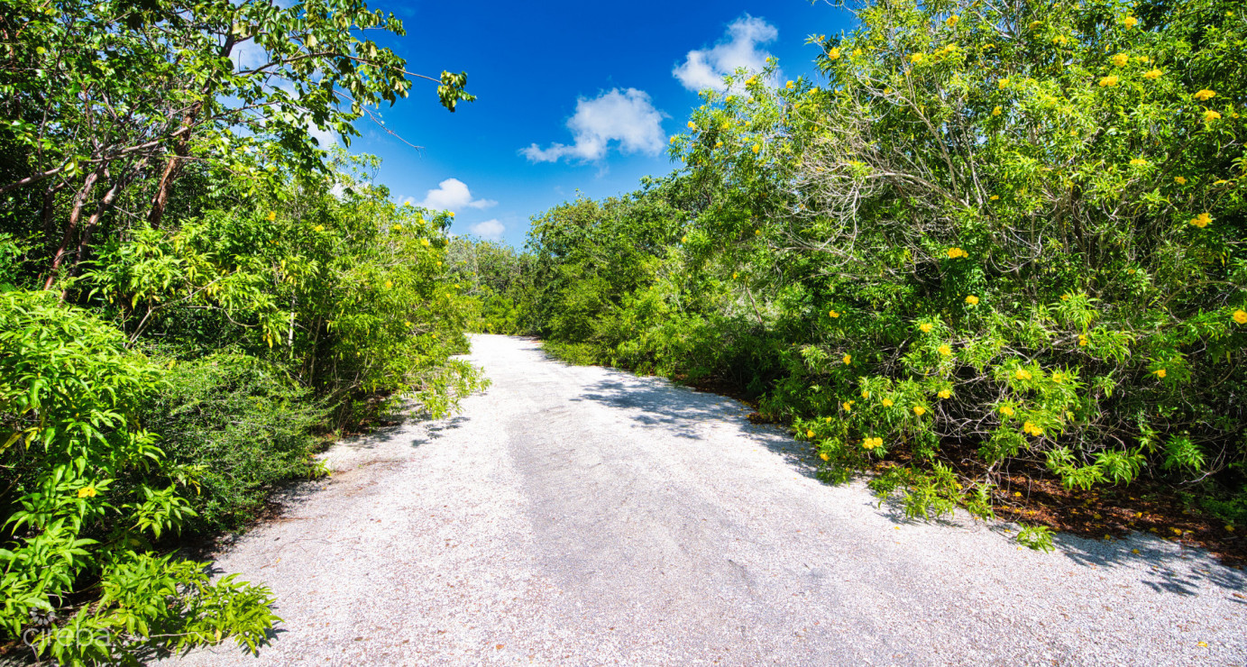 Cayman Brac Inland Parcel - Owner Financing Offered!!