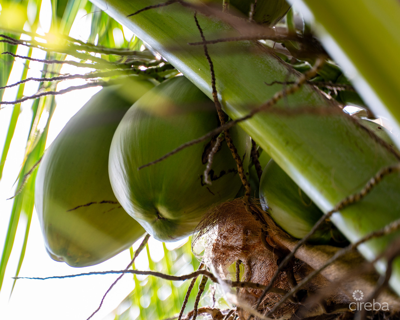 Lovely  Family Home - Lookout Gardens