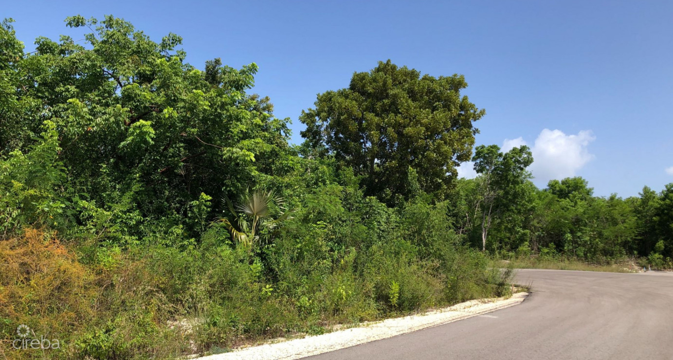 Mahogany Grove Lot 4