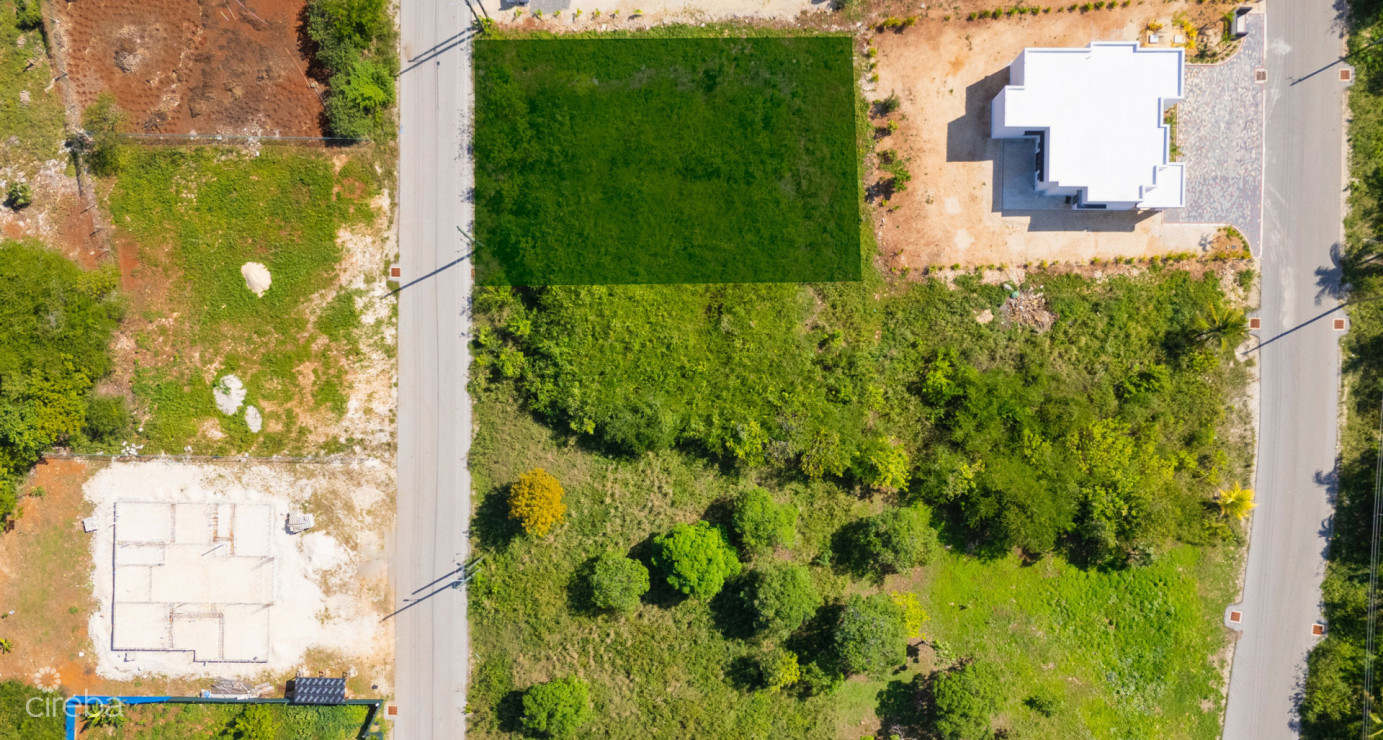 Viola Way - Fantastic House Lot (0.2389 Acre, Savannah)