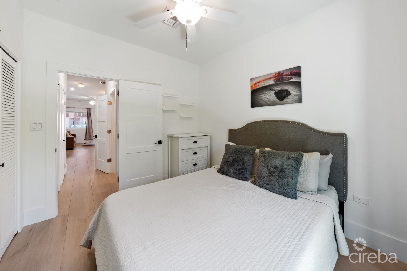 La Paidion #9 Reduced!