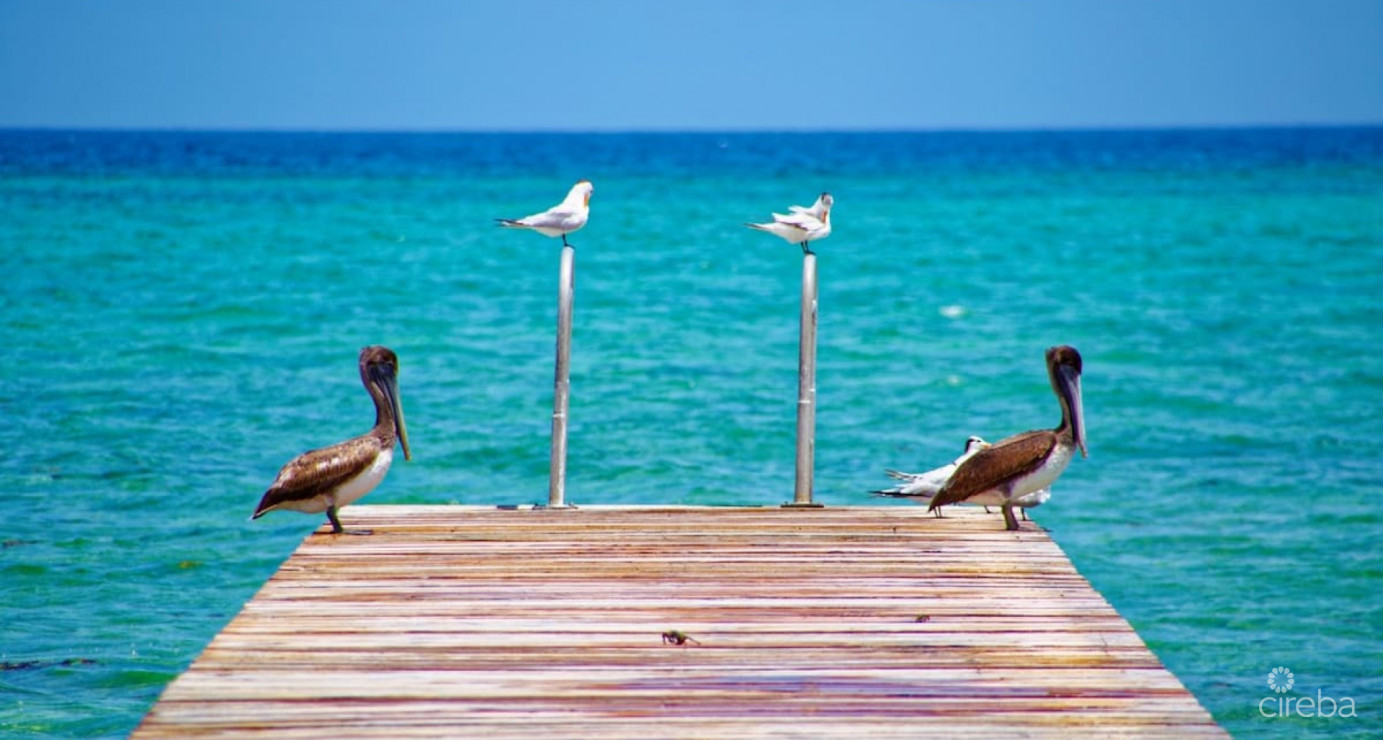 Beachfront #22 Villas Pappagallo