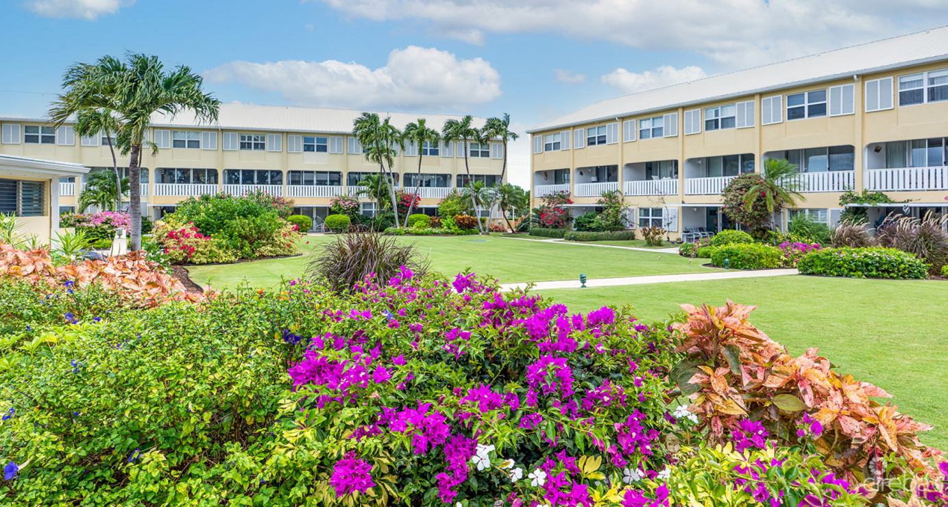 Harbour Heights - Gorgeous Views