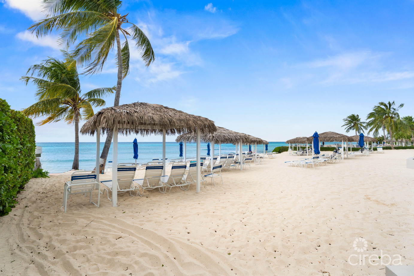 Discovery Point Penthouse Beachfront