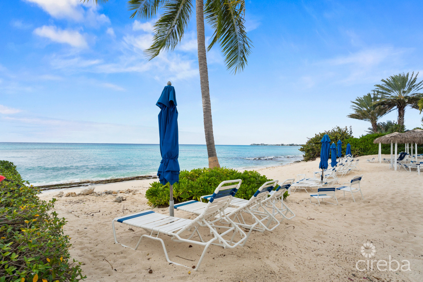 Discovery Point Penthouse Beachfront