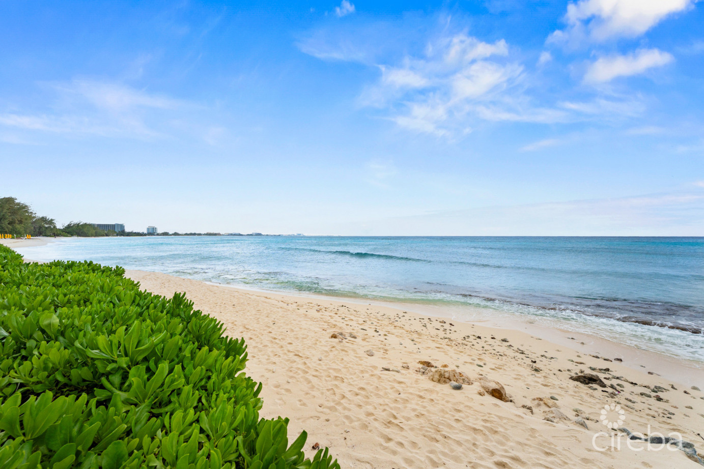 Discovery Point Penthouse Beachfront