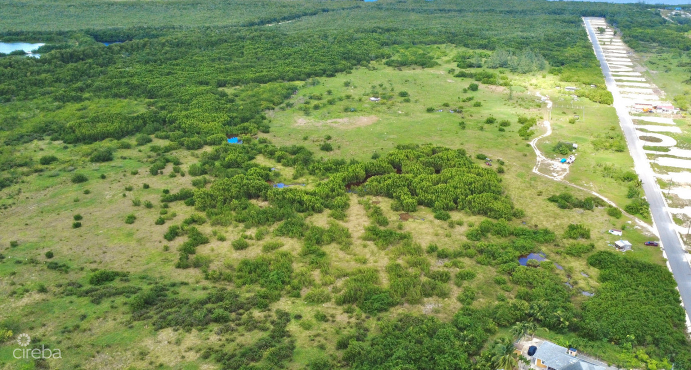 White Orchid - New Savannah Community - L4