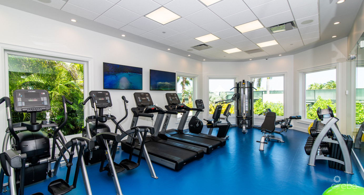 Stone Island #1302 - Phase Two