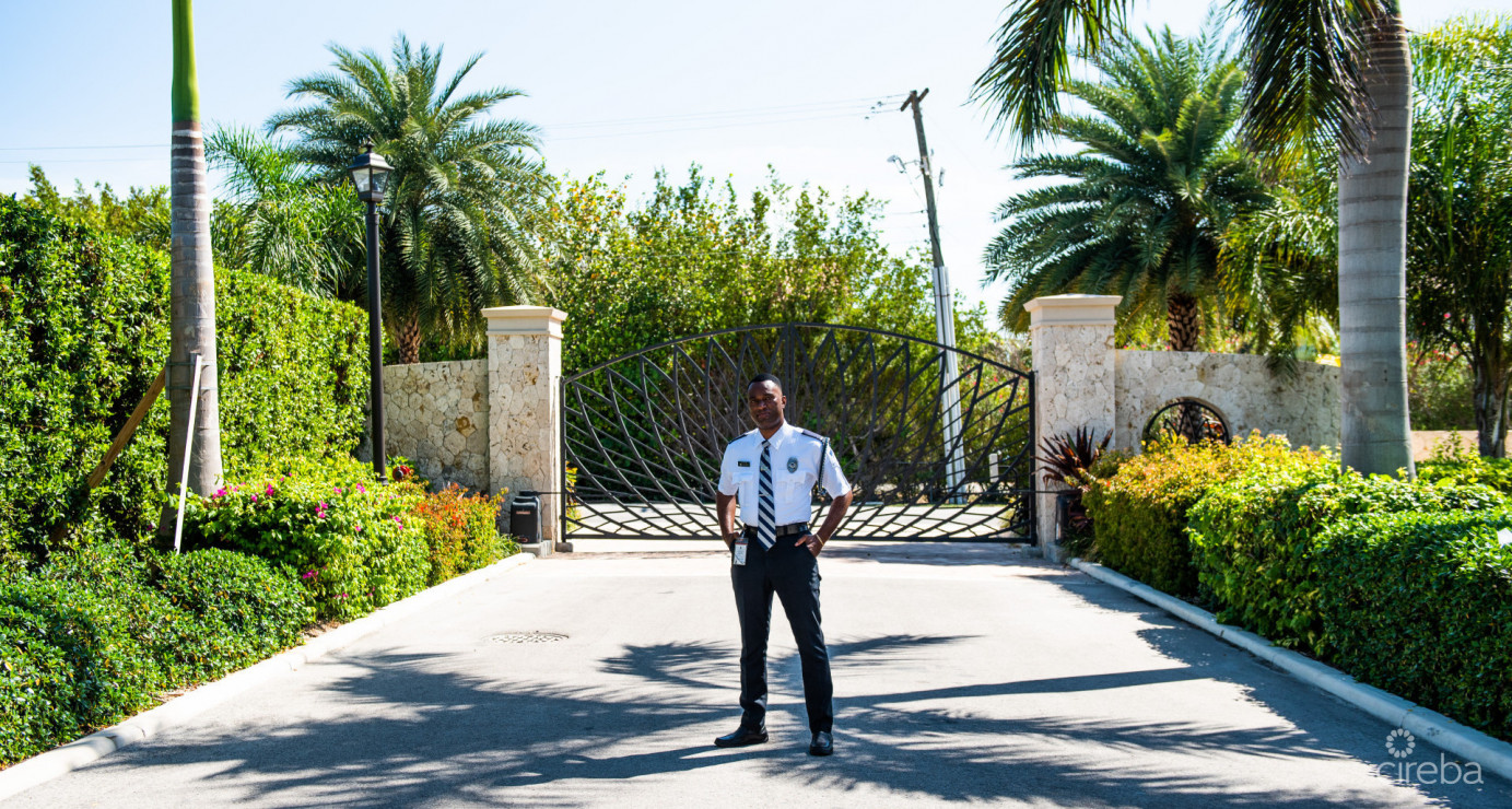 Stone Island #1003 - Phase Two