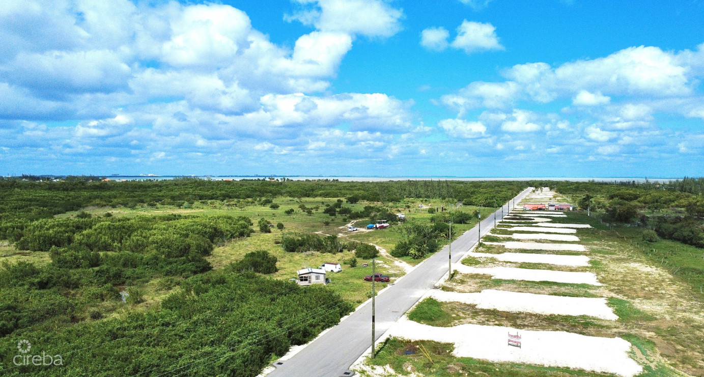 White Orchid - New Savannah Community - L8