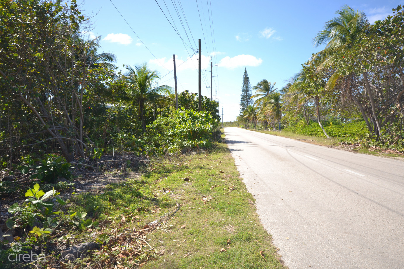 North Side Oceanview  Land