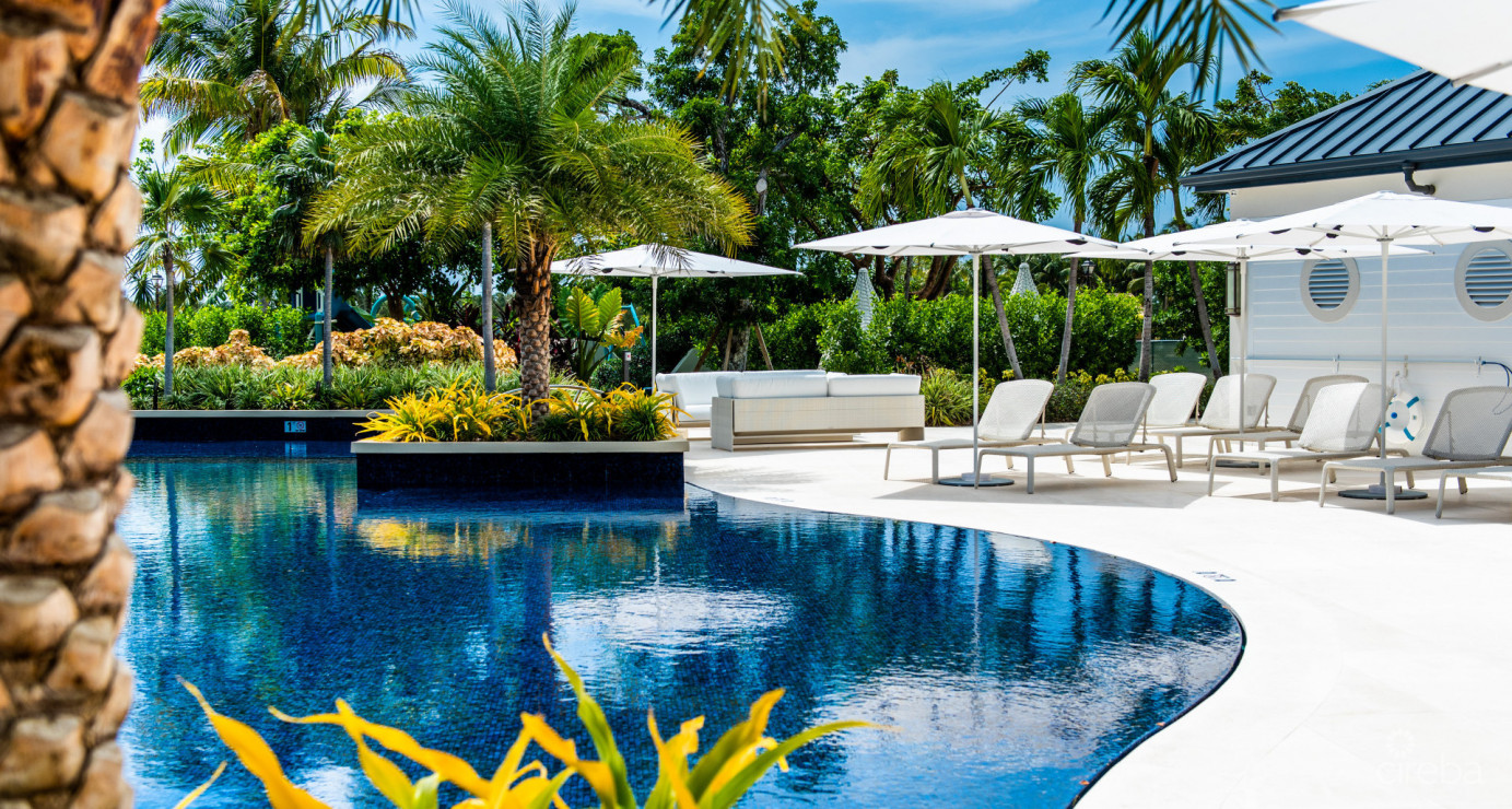 Stone Island #1202 - Phase Two