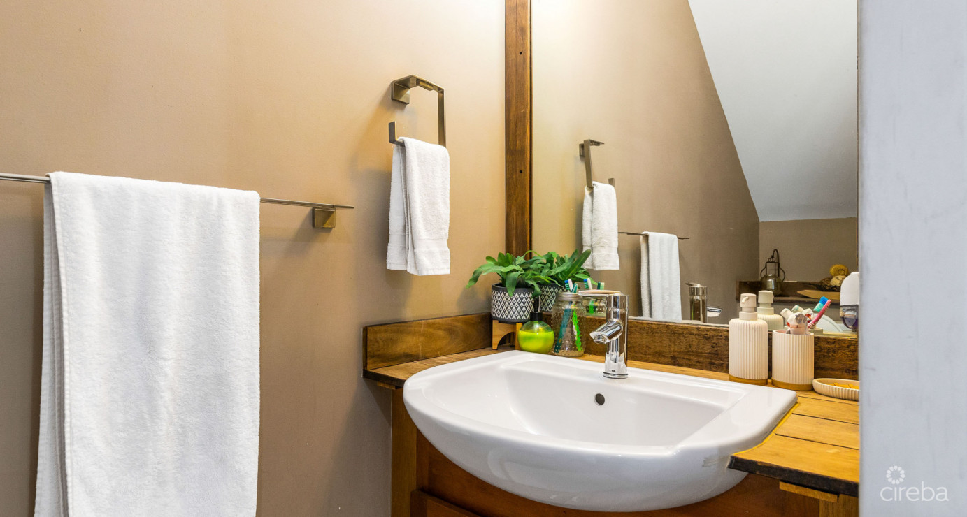 Savannah 3 Bed/3.5 Bath Charming Cottage Home With Income Producing Unit