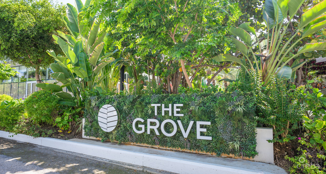 The Grove Top Floor Condo