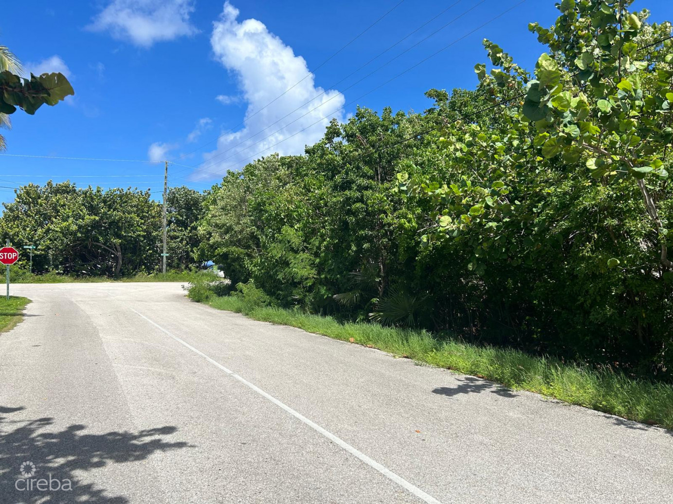 Prime West End Cayman Brac Land Parcel 101