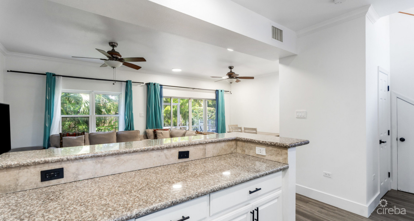 Triumph Village #8 (3 Bed, 3.5 Bath End Unit Townhome)