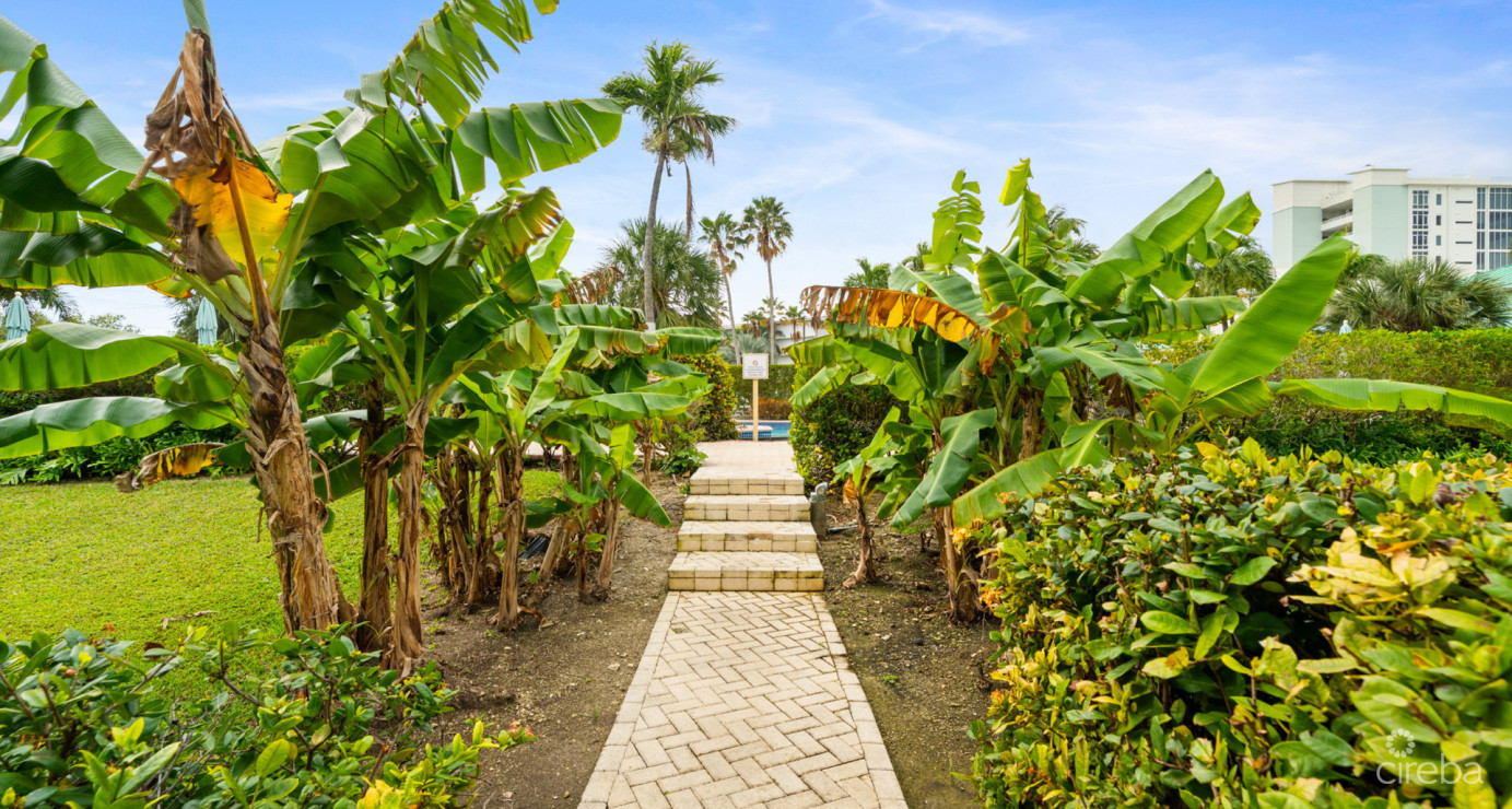 Plantation Village #44  Seven Mile Beach - Pool & Garden View Condo With Great Rental Income