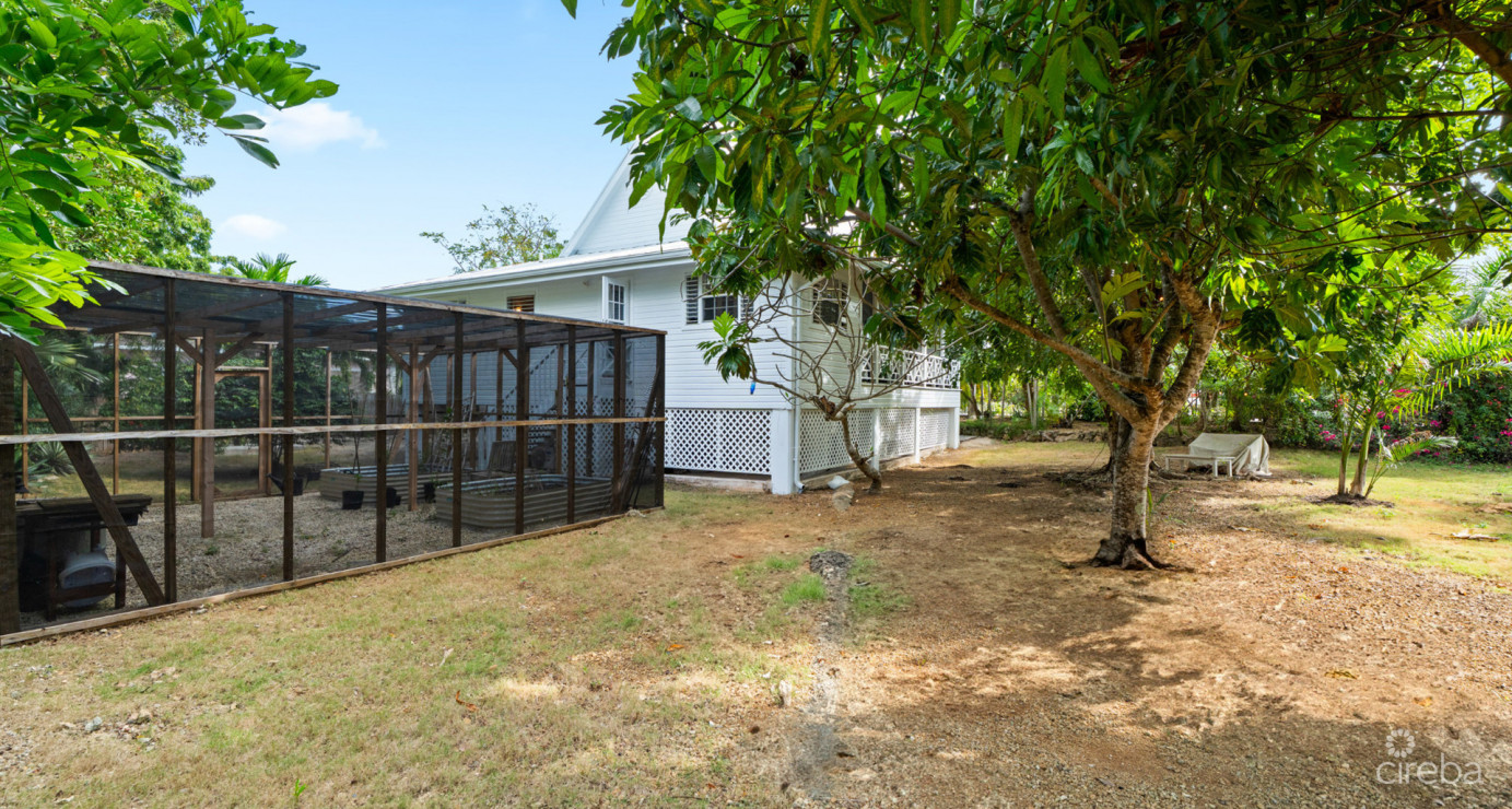 Lahala Treehouse Cottage