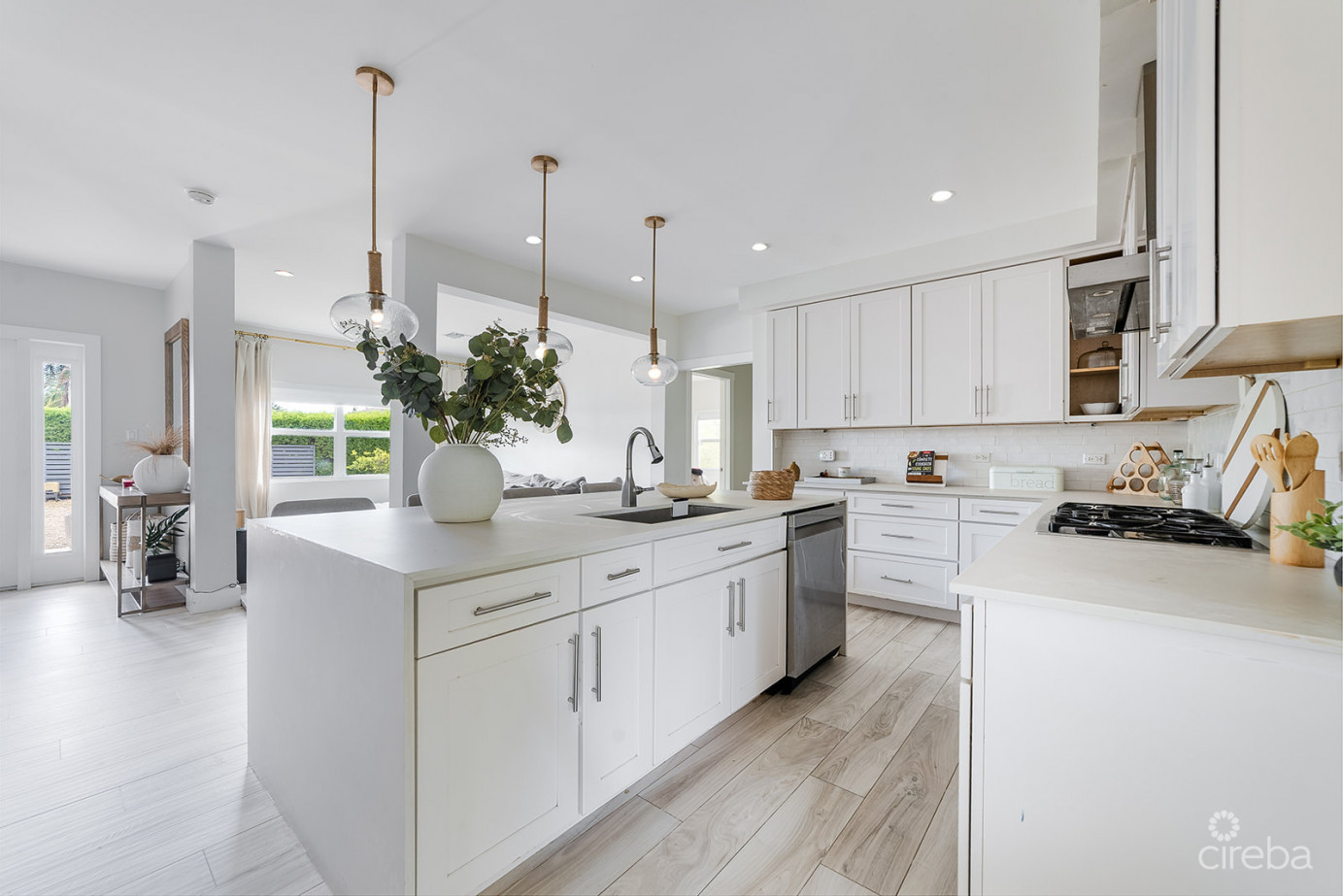 Elevated, 6-bedroom  Single Family Home On A Massive Parcel