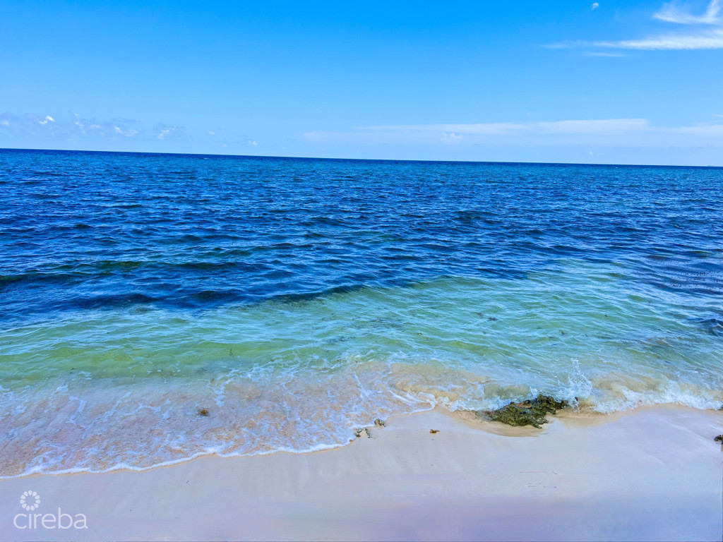 Rum Point Beachfront Lot With Coral Reef