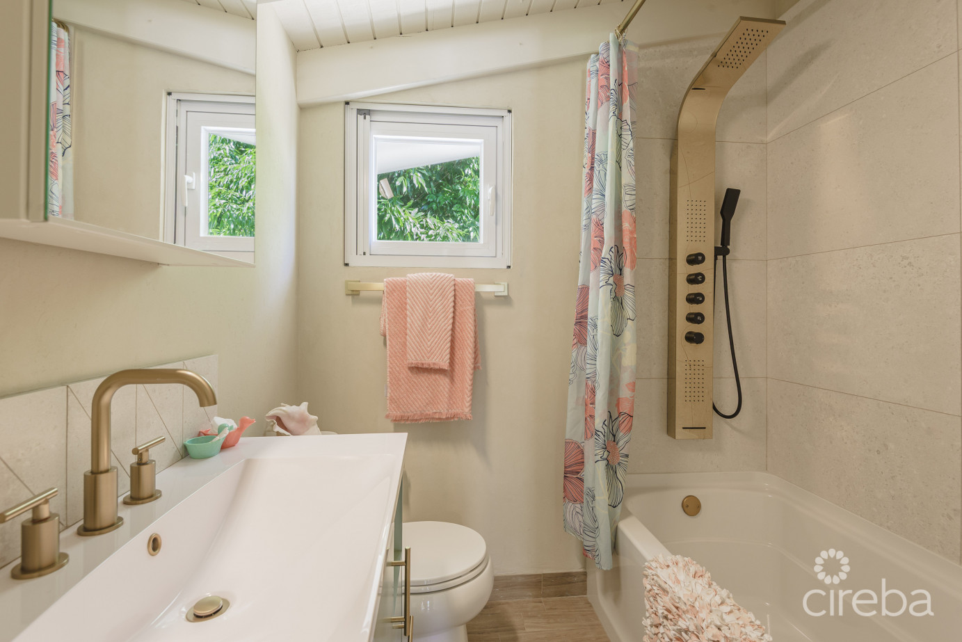 Remastered Mid-century Modern Home