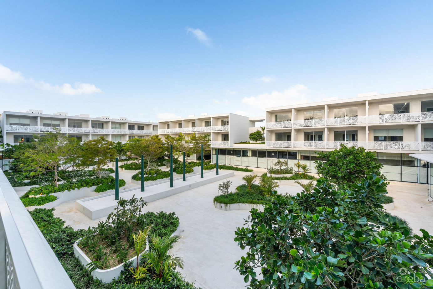 Solace At The Grove Too  Seven Mile Corridor