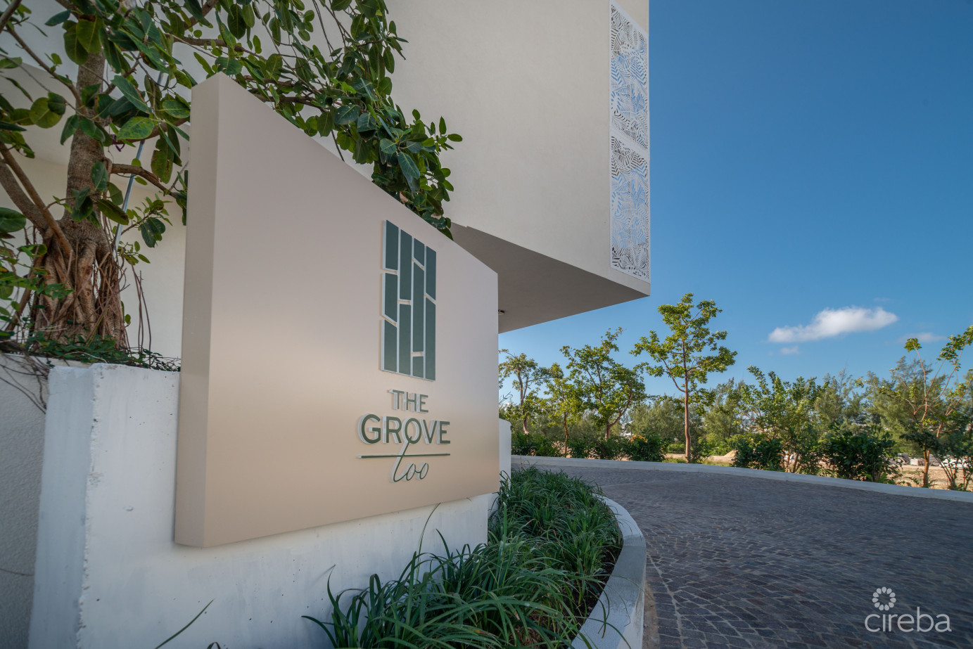 Solace At The Grove Too  Seven Mile Corridor