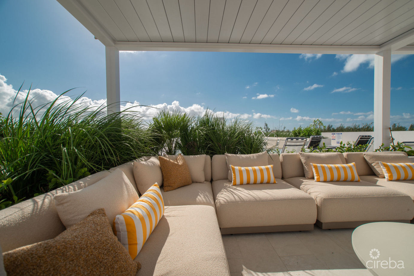 Solace At The Grove Too  Seven Mile Corridor