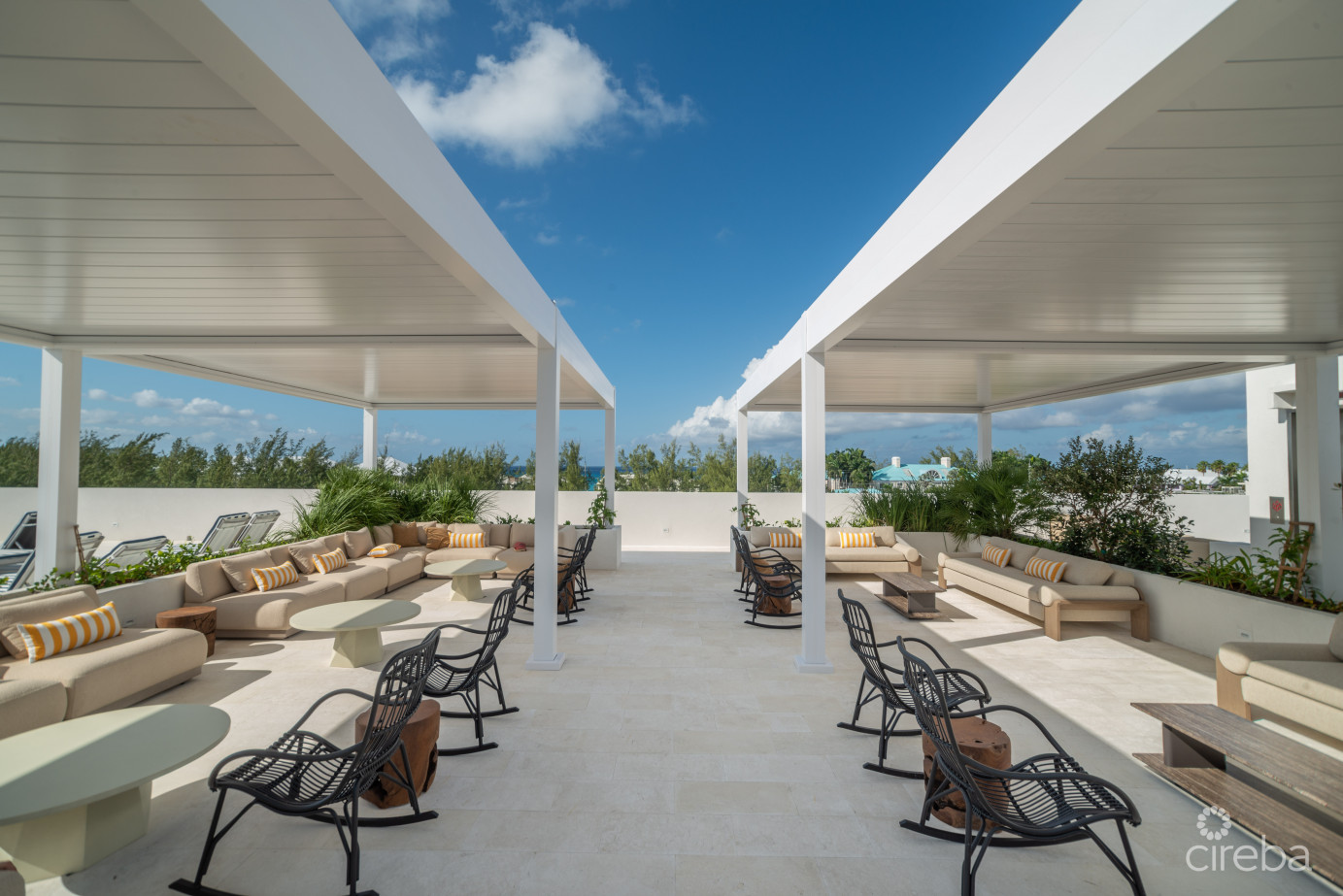 Solace At The Grove Too  Seven Mile Corridor