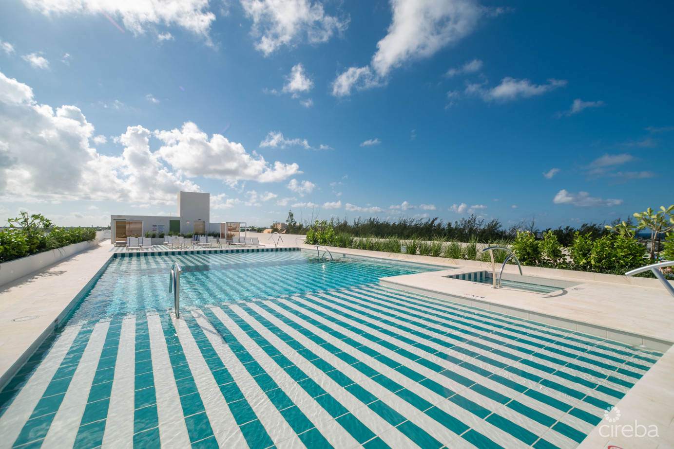 Solace At The Grove Too  Seven Mile Corridor