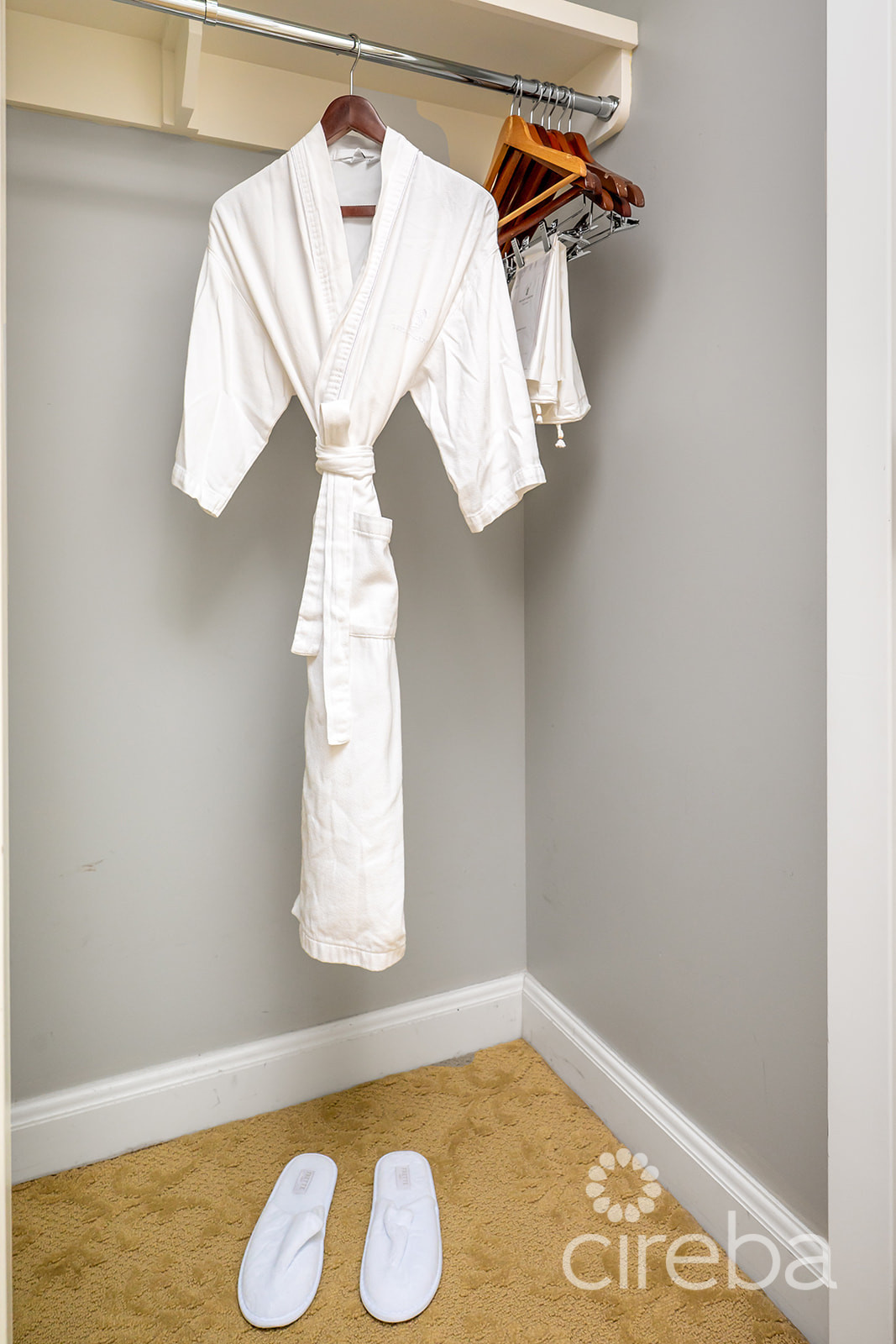 Ritz Carlton Residence 408