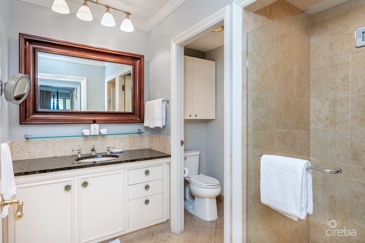 Ritz Carlton Residence 408