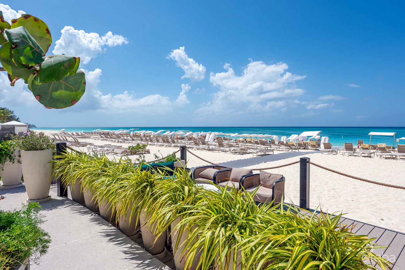 Ritz Carlton Residence 408