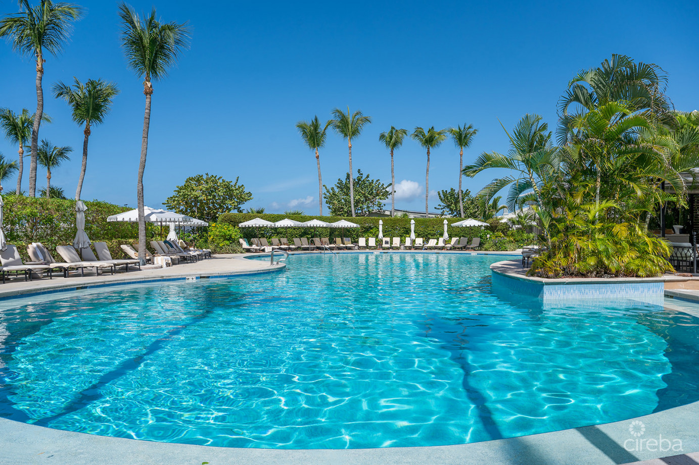 Ritz Carlton Residence 408