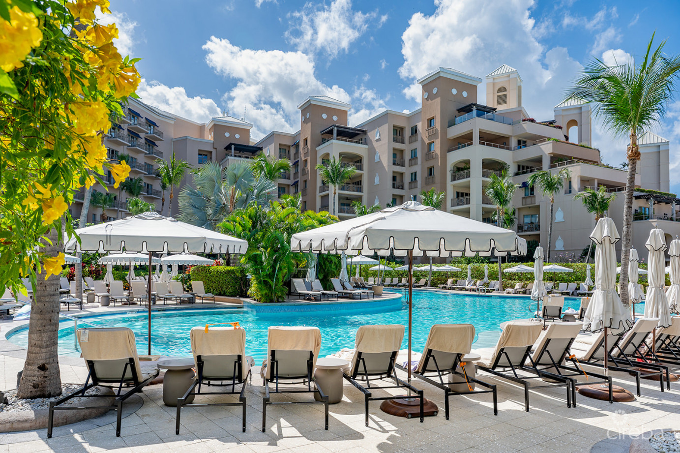 Ritz Carlton Residence 408