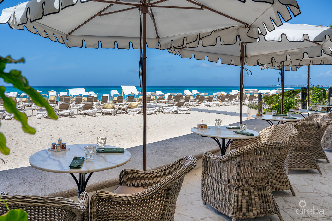 Ritz Carlton Residence 408