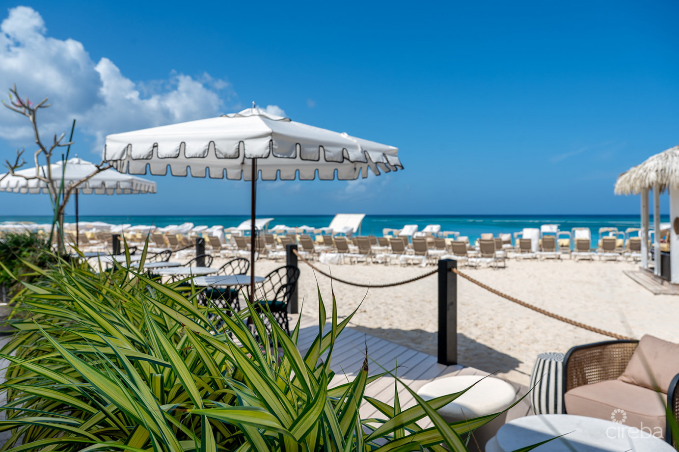 Ritz Carlton Residence 408