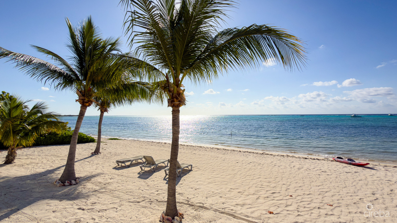 Beachfront Condo The Club Little Cayman