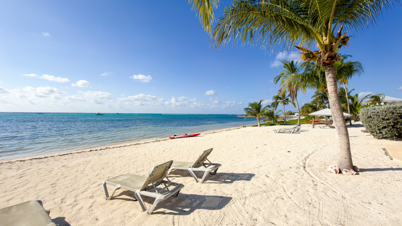 Beachfront Condo The Club Little Cayman