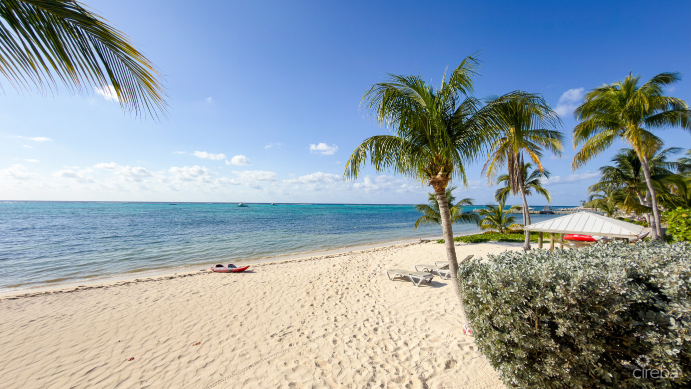 Beachfront Condo The Club Little Cayman