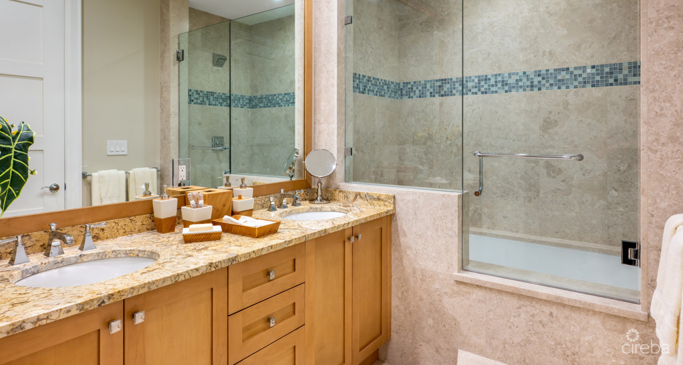 Watercolours - A Magnificent Grand Residence