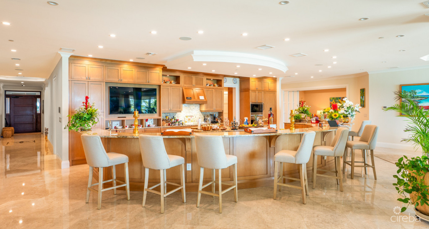 Watercolours - A Magnificent Grand Residence